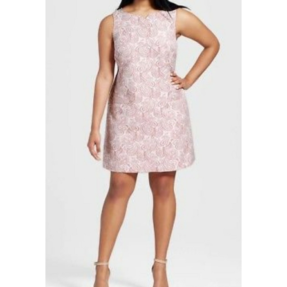 NEW! Plus size Victoria Beckman Dress
